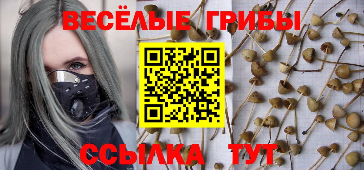 Псилоцибиновые грибы ЛСД Симферополь