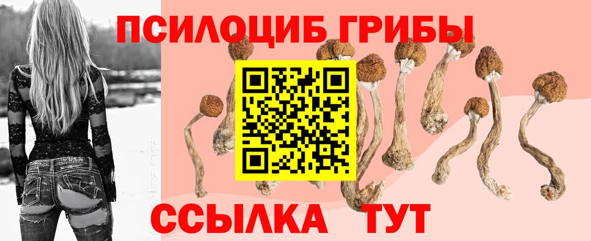 закладка  Псилоцибиновые грибы Magic Shrooms  Вход с VPN  Симферополь 